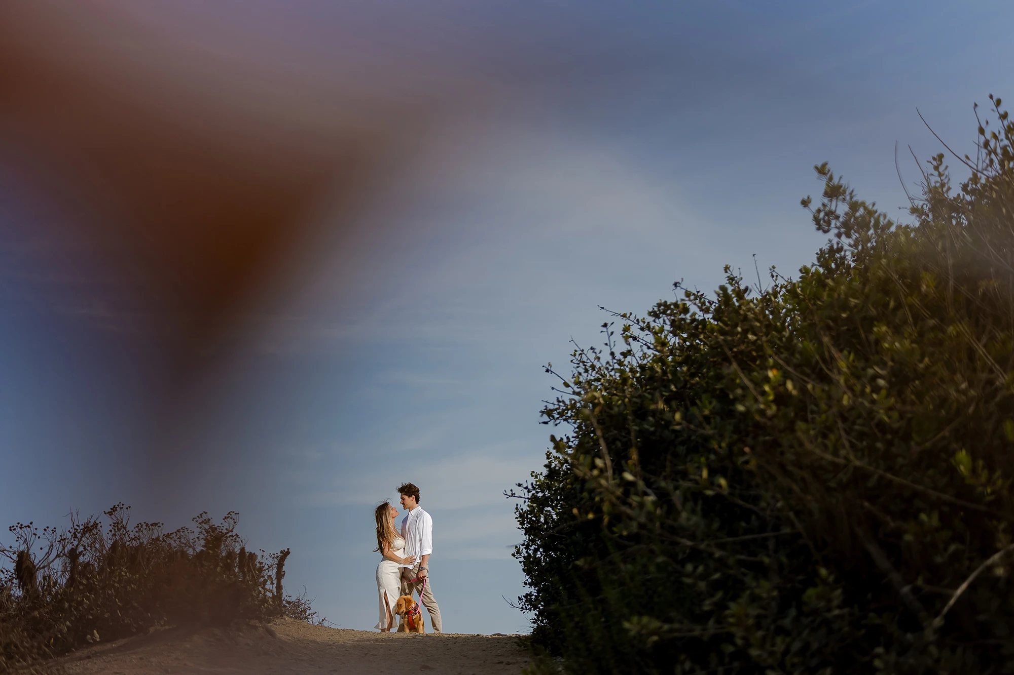 Proposal Photography Seesion At Point Dume with dog NZ WEDDING STUDIO