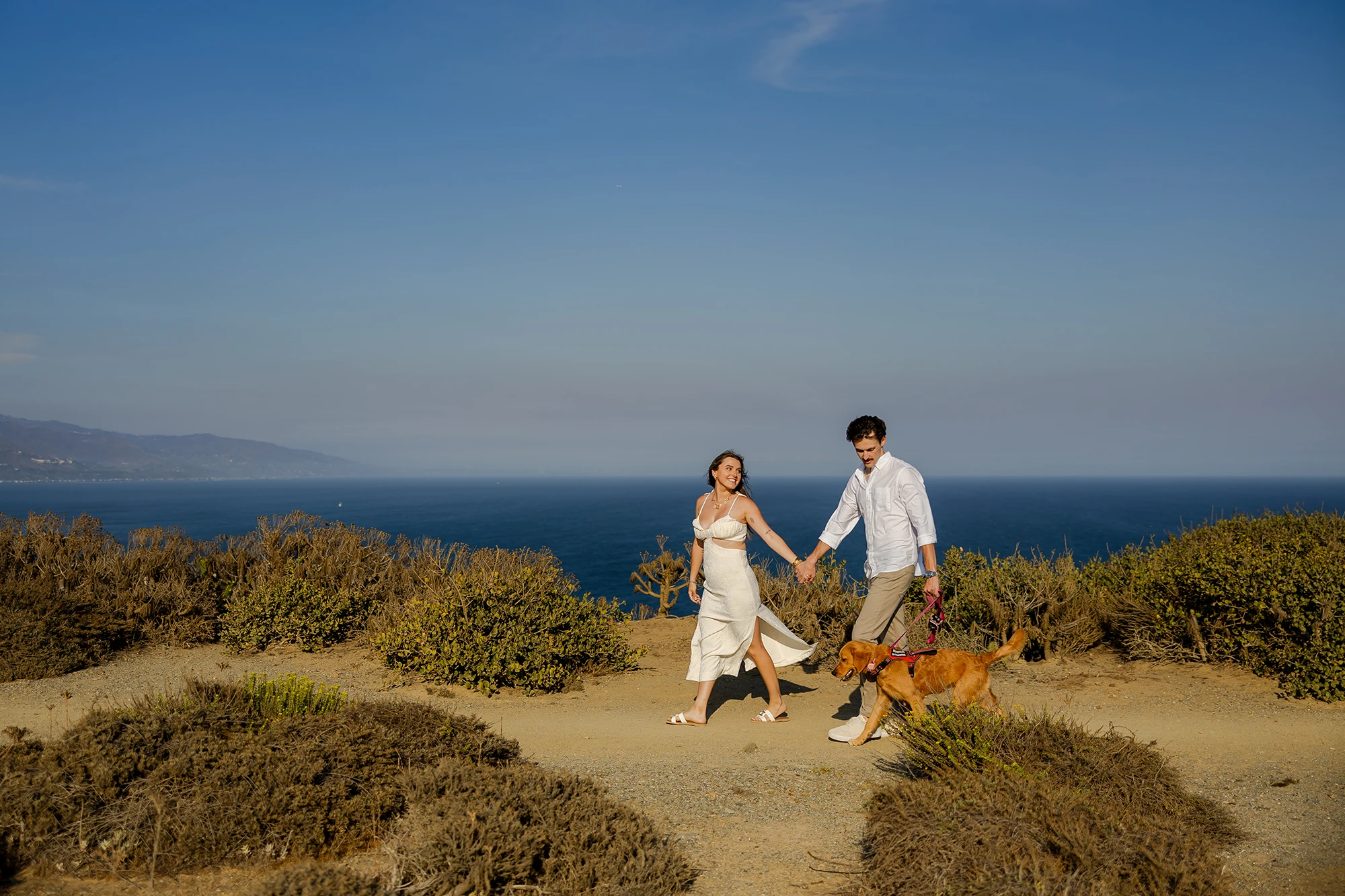 Proposal photography of the couple walking with their dog NZ WEDDING STUDIO