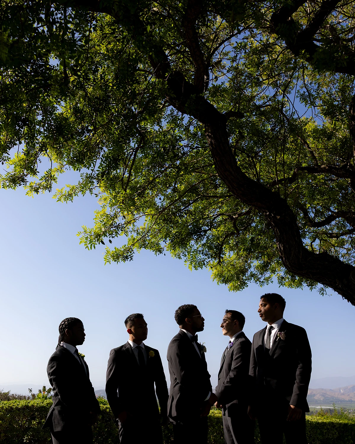 Groomsmen wedding photos posing under the tree Los Angeles Wedding Photographer NZ WEDDING STUDIO
